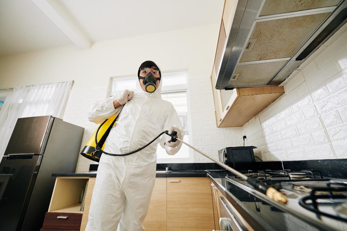 EverShield Exterminators General Pest Control in Salt Lake City